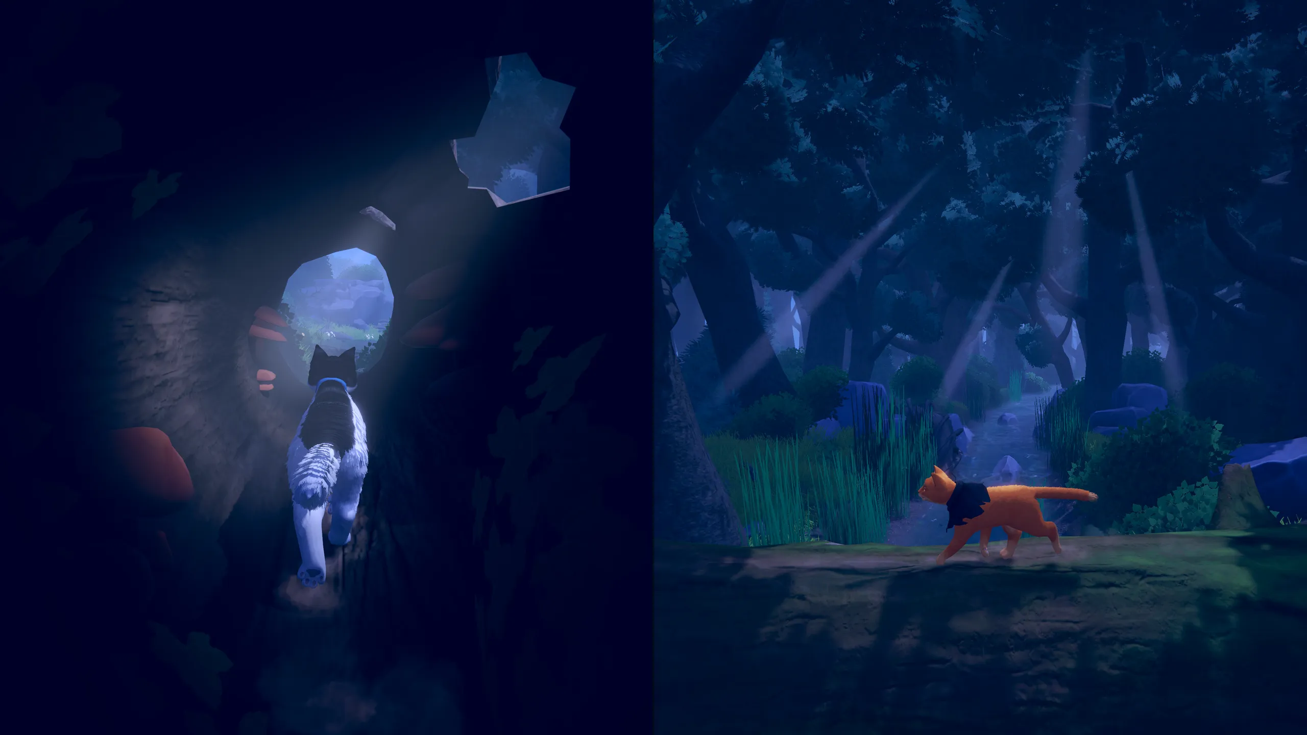 Split-screen: one cat crosses a dark tunnel, the other a moonlit forest